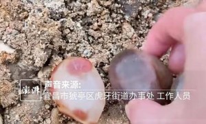 湖北一地多人在工地挖玛瑙，街道：工地严格来说不许外人进