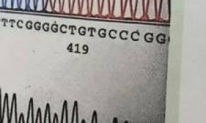 人工智能写的书，版权归谁?