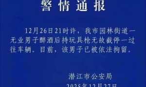 湖北警方通报“男子持枪拦车”：系醉酒后持玩具枪无故截停车辆，已被拘留